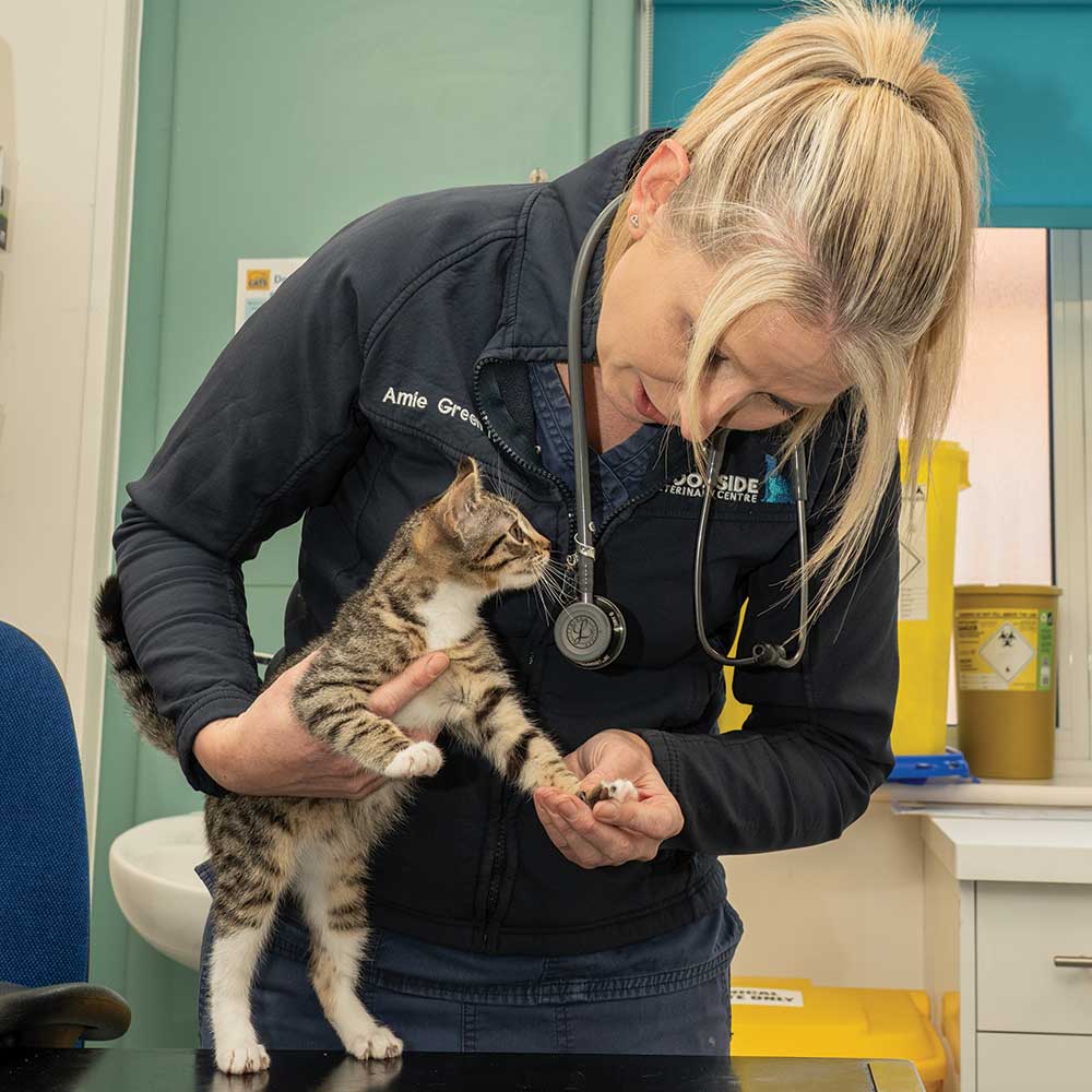 Pet Vaccinations